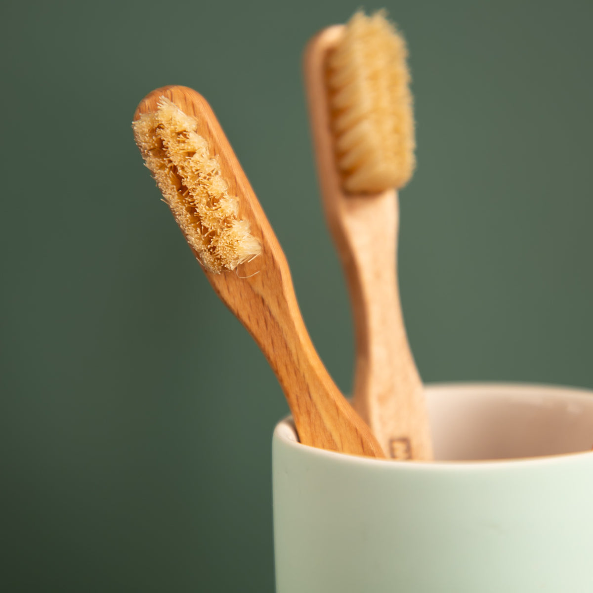 Holzzahnbürste mit Naturborsten