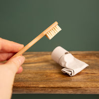 Plastikfreie Holzzahnbürste