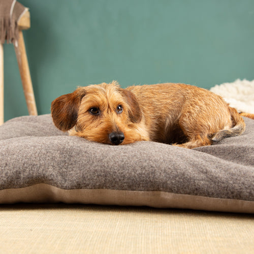 Hundekissen und Katzenkissen | Dinkelkissen