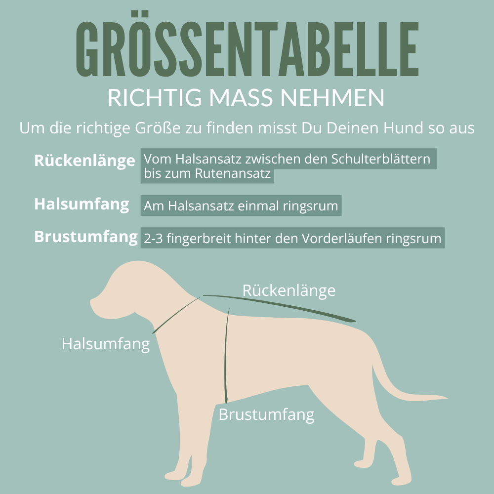 Warmer Hundemantel | Standard | Größe 11 | EINZELSTÜCK | beere