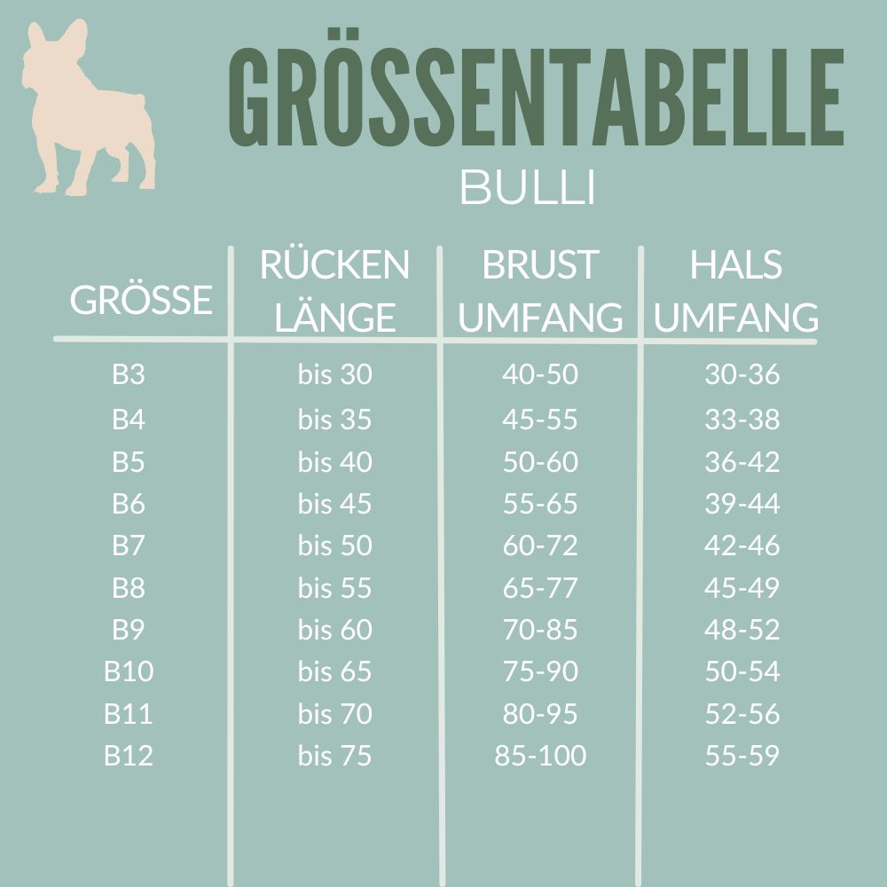 Warmer Hundemantel Winter | Bulliform | 100% Schurwolle