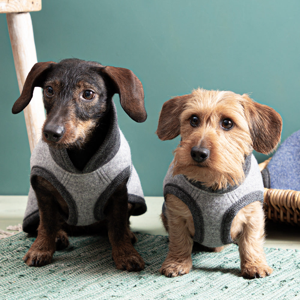Warmer Hundemantel Winter | Dackelform | 100% Schurwolle