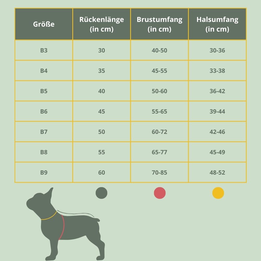 Hundemantel "Bulliform | 100% Schurwolle