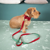 Halsband-Leine-Fliege-plastikfrei_rot-2