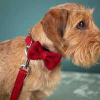 Halsband-Leine-Fliege-plastikfrei_rot-4