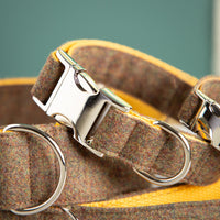 Halsband-fuer-Hunde-braun-2