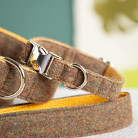 Halsband-fuer-Hunde-braun-3
