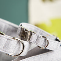 Halsband-fuer-Hunde-grau-2