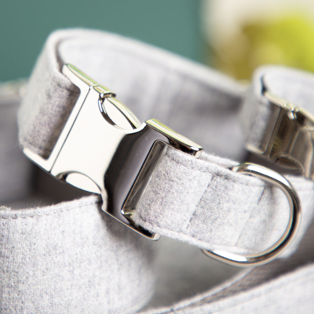 Halsband-fuer-Hunde-grau-3