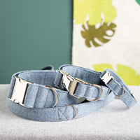 Halsband-fuer-Hunde-hellblau-1