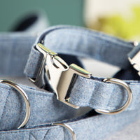 Halsband-fuer-Hunde-hellblau-2