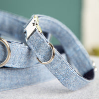Halsband-fuer-Hunde-hellblau-3