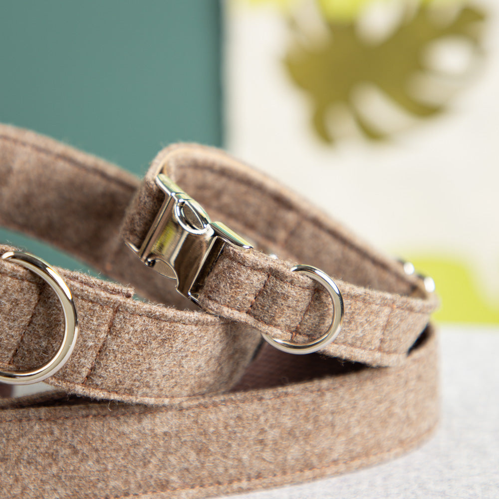 Halsband-fuer-Hunde-hellbraun-3