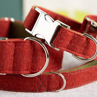 Halsband-fuer-Hunde-rot-2