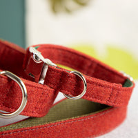 Halsband-fuer-Hunde-rot-3
