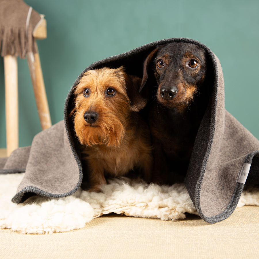 Hundedecke aus 100 % Schurwolle