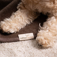Hundedecke "Premium" | 100% Merinowolle