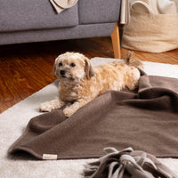 Hundedecke "Premium" | 100% Merinowolle