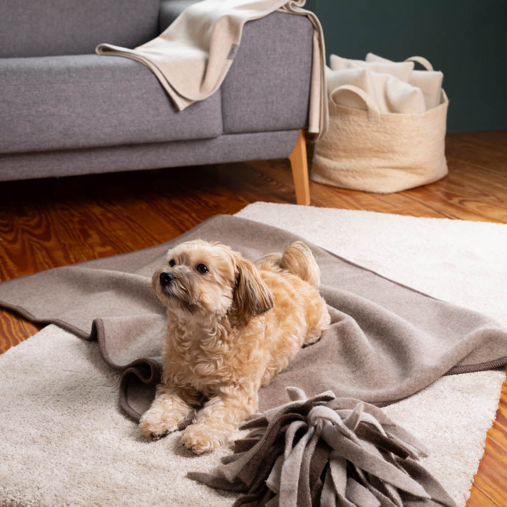 Hundedecke "Premium" | 100% Merinowolle