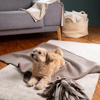 Hundedecke "Premium" | 100% Merinowolle