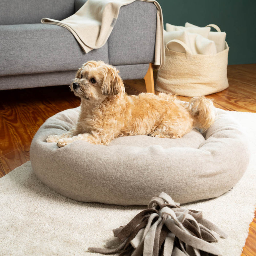 Premium Hundedonut aus mongolischer Merinowolle