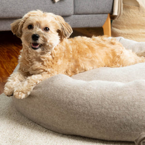Hundedonut_Schurwolle_Loden_Naturfuellung_Wolle_Dinkelspelz_mongolische_Merinowolle