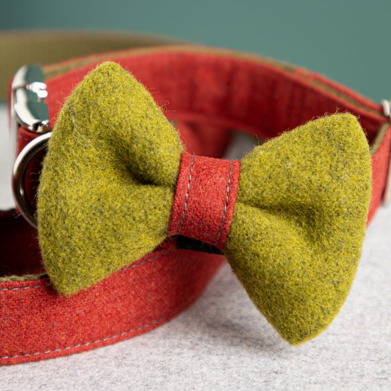 Hundehalsband-Schleife-Wolle-Loden-2