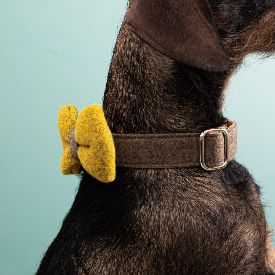 Halsband aus Loden