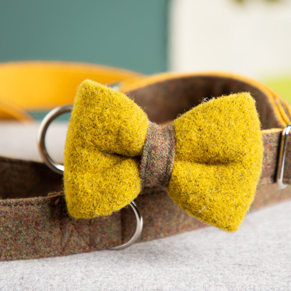 Hundehalsband-Schleife-Wolle-Loden-3