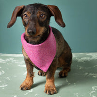 Hundehalstuch | 100% Schurwolle Feinloden | XS-L