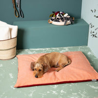 Hundekissen_Schurwolle_Dinkelfuellung-5