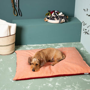 Hundekissen_Schurwolle_Dinkelfuellung-5