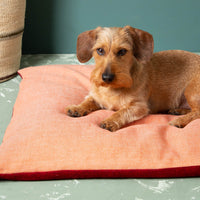 Hundekissen_Schurwolle_Dinkelfuellung-6