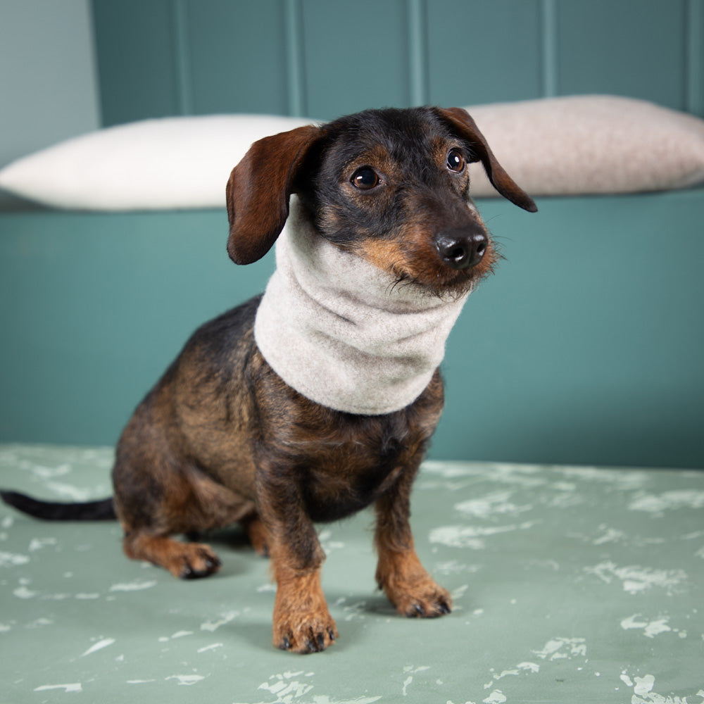 Hundeloop_Merinowolle-extrawarm-weich-beige-2