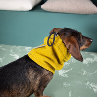 Hundeloop aus Wolle | Natürlich warm und atmungsaktiv