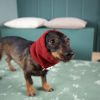 Hundeloop aus Wolle | Natürlich warm und atmungsaktiv