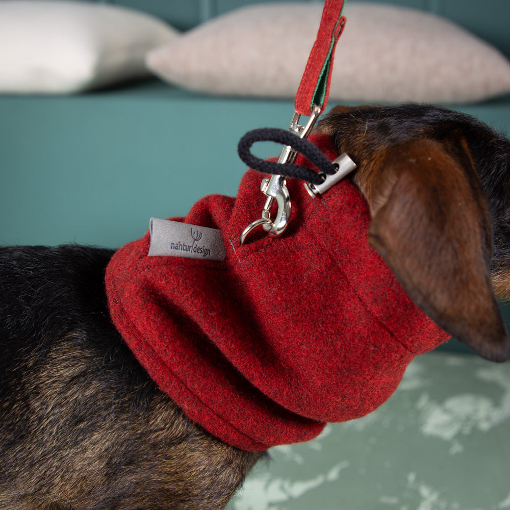 Hundeloop aus Wolle | Natürlich warm und atmungsaktiv