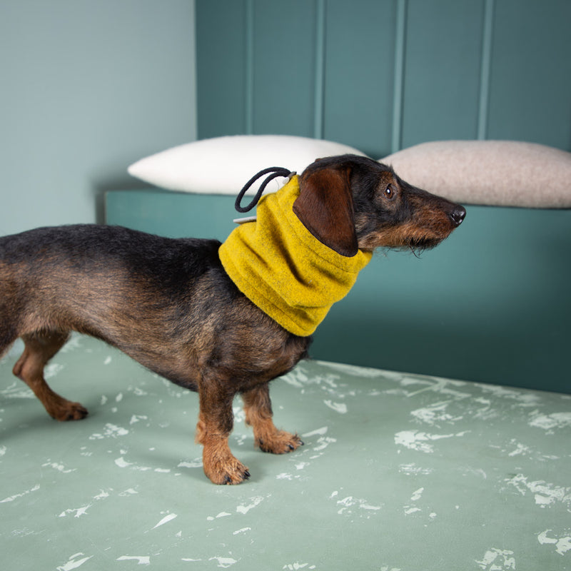 Hundeloop_verschiedene_Farben-flauschig-warm-Loden