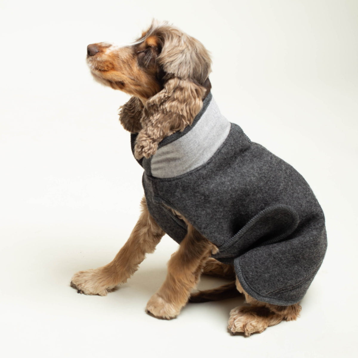 Extra Warmer Hundemantel | Standardform | Größe 3 | EINZELSTÜCK