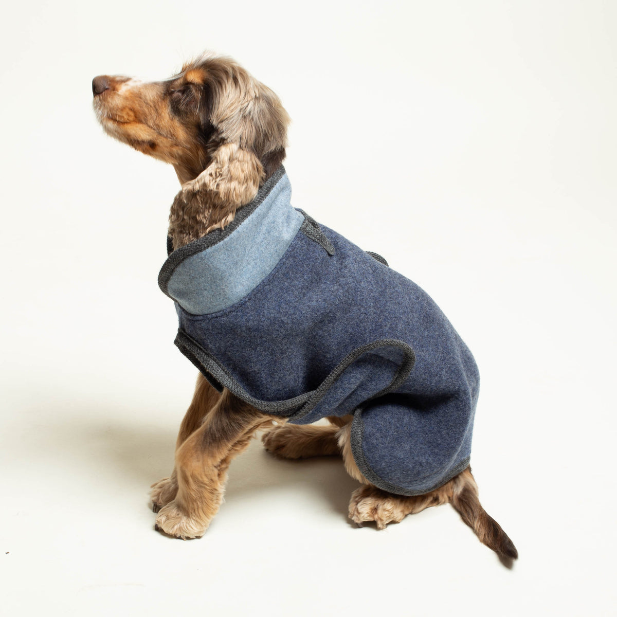 Warmer Hundemantel | Standard | Größe 8 | EINZELSTÜCK | blau