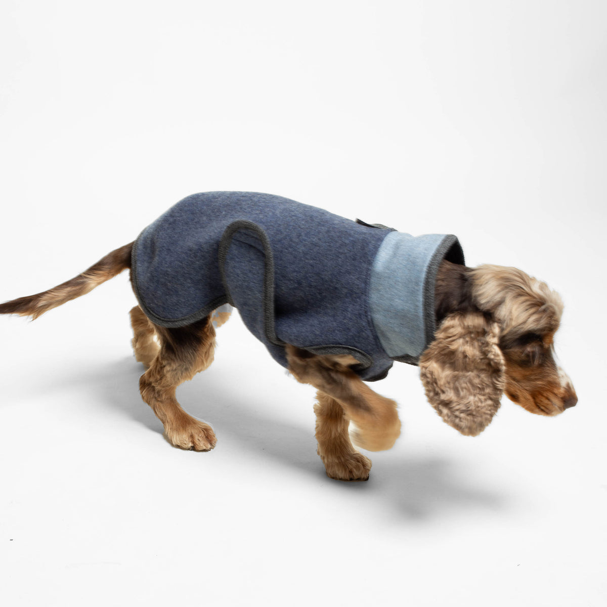 Warmer Hundemantel | Standard | Größe 8 | EINZELSTÜCK | blau