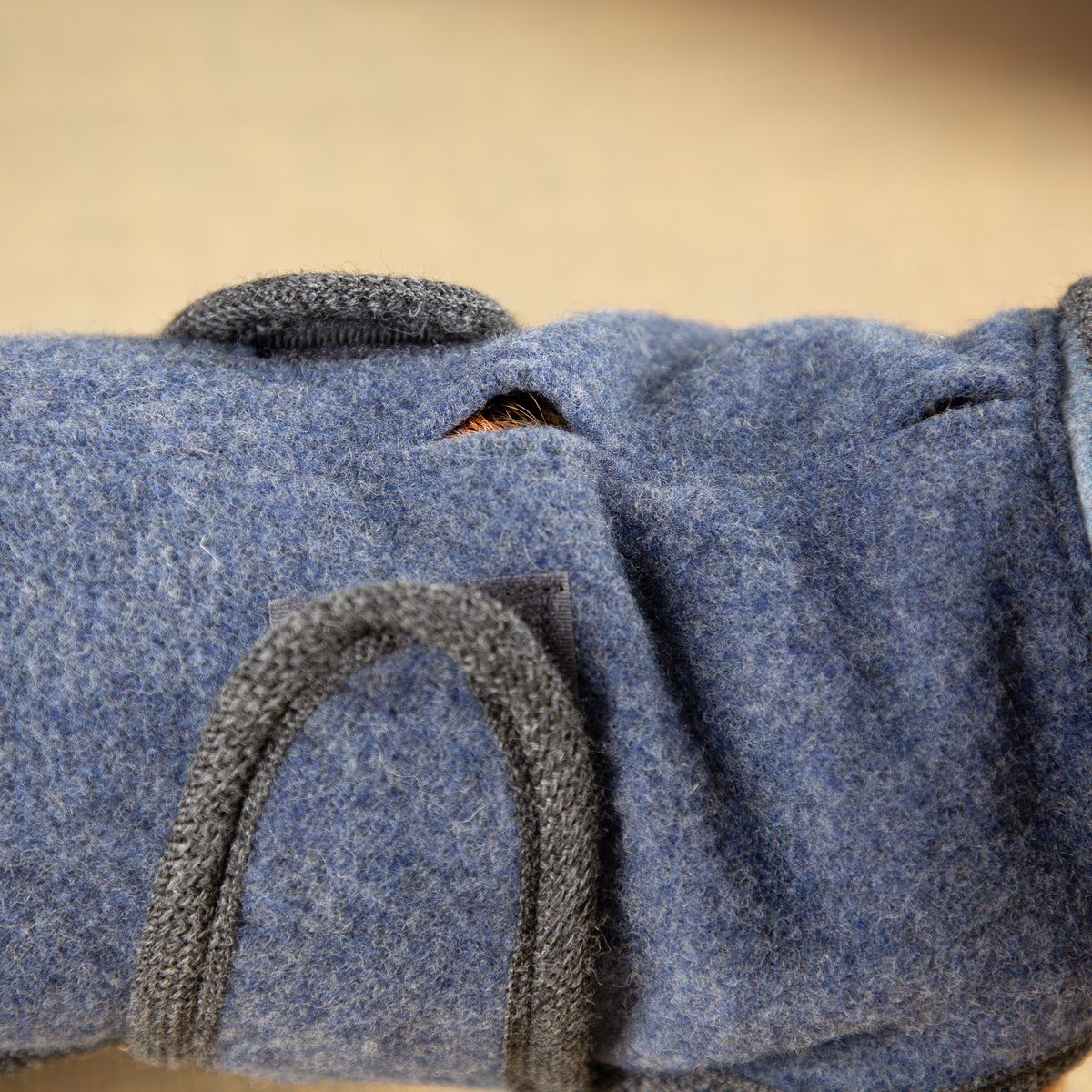 Warmer Hundemantel | Standard | Größe 11 | EINZELSTÜCK | beere