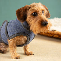 Warmer Hundemantel | Standard | Größe 8 | EINZELSTÜCK | blau