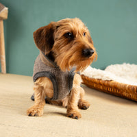 Warmer Hundemantel  | Dackelform | EINZELSTÜCK | DK5 | braun