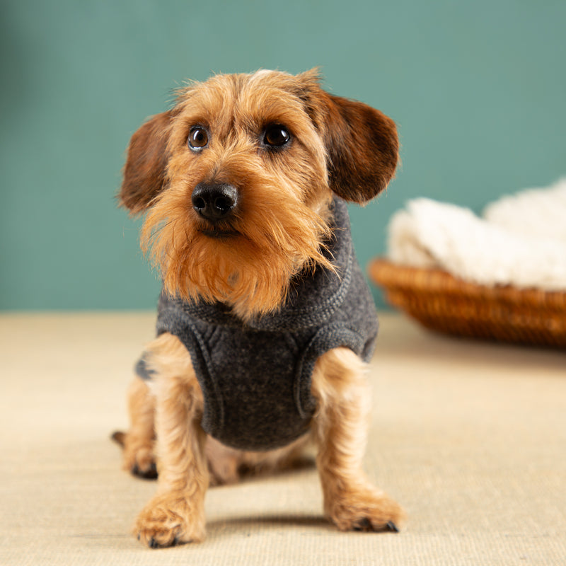 Extra warmer Hundemantel Winter | Dackelform | 100% Schurwolle extra