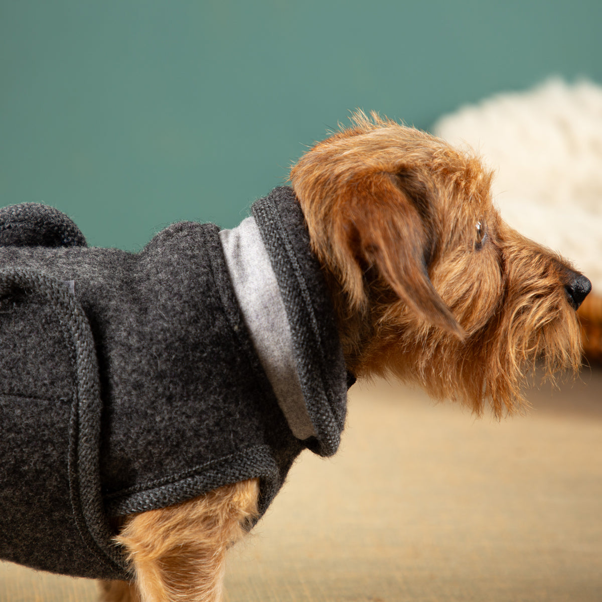 Extra Warmer Hundemantel  DK4 | Dackelform | EINZELSTÜCK |