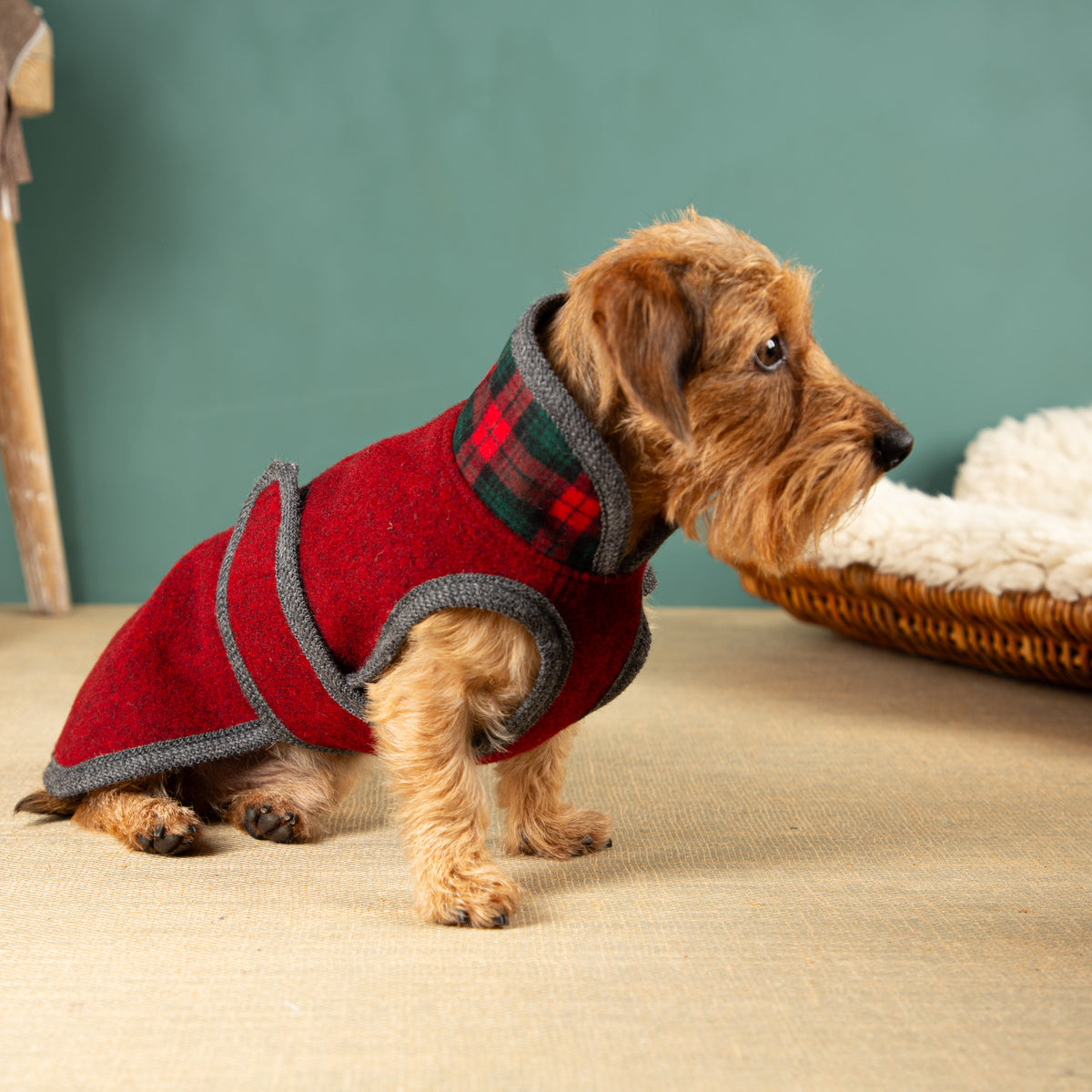 Warmer Hundemantel  | Dackelform | EINZELSTÜCK | DK3 | rot