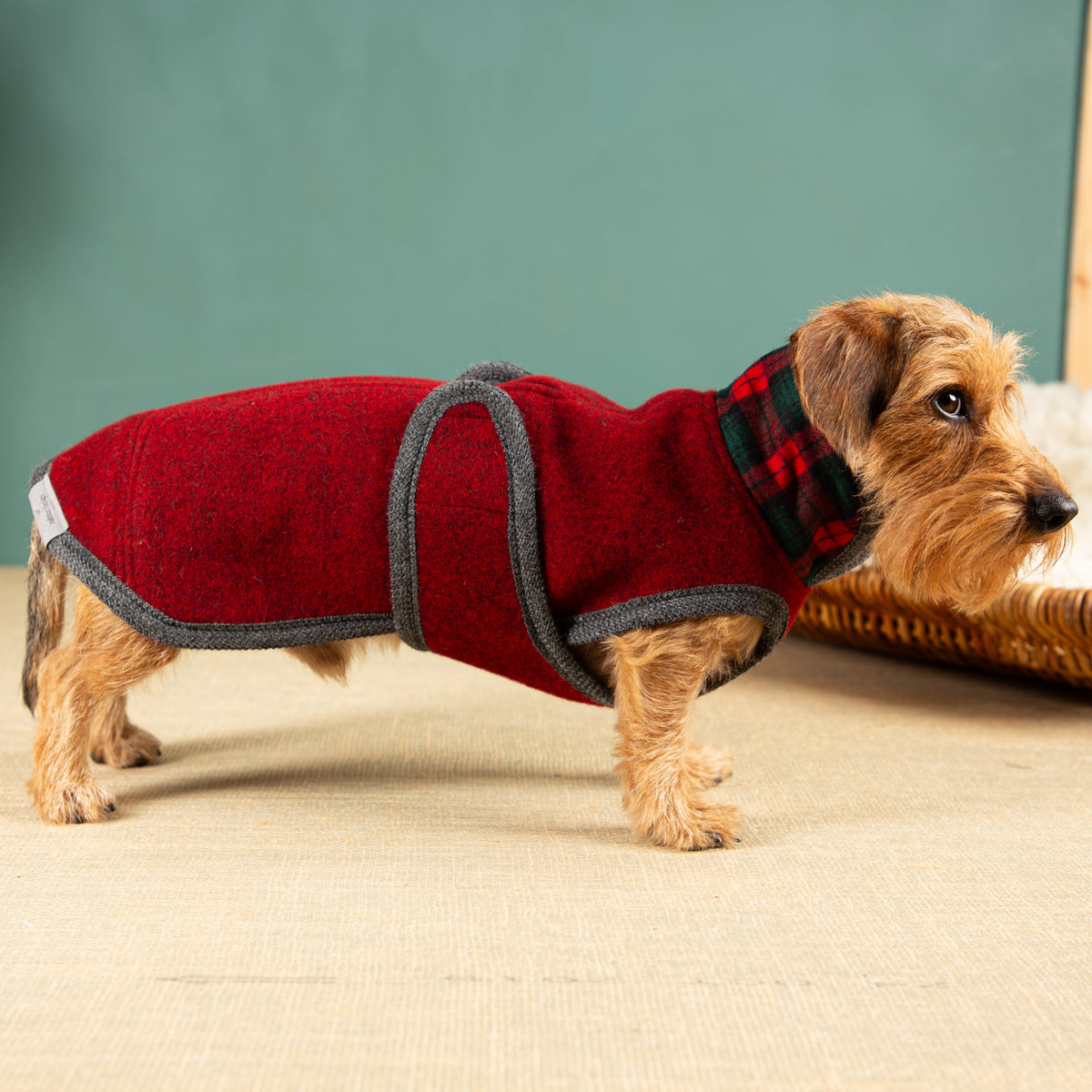 Warmer Hundemantel  | Dackelform | EINZELSTÜCK | DK3 | rot