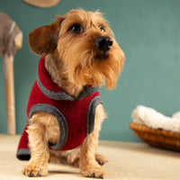 Warmer Hundemantel  | Dackelform | EINZELSTÜCK | DK3 | rot