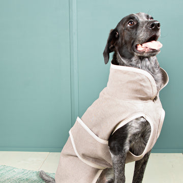 leinen aufbewahrung hund Hundemantel UV-Schutz | Standardform